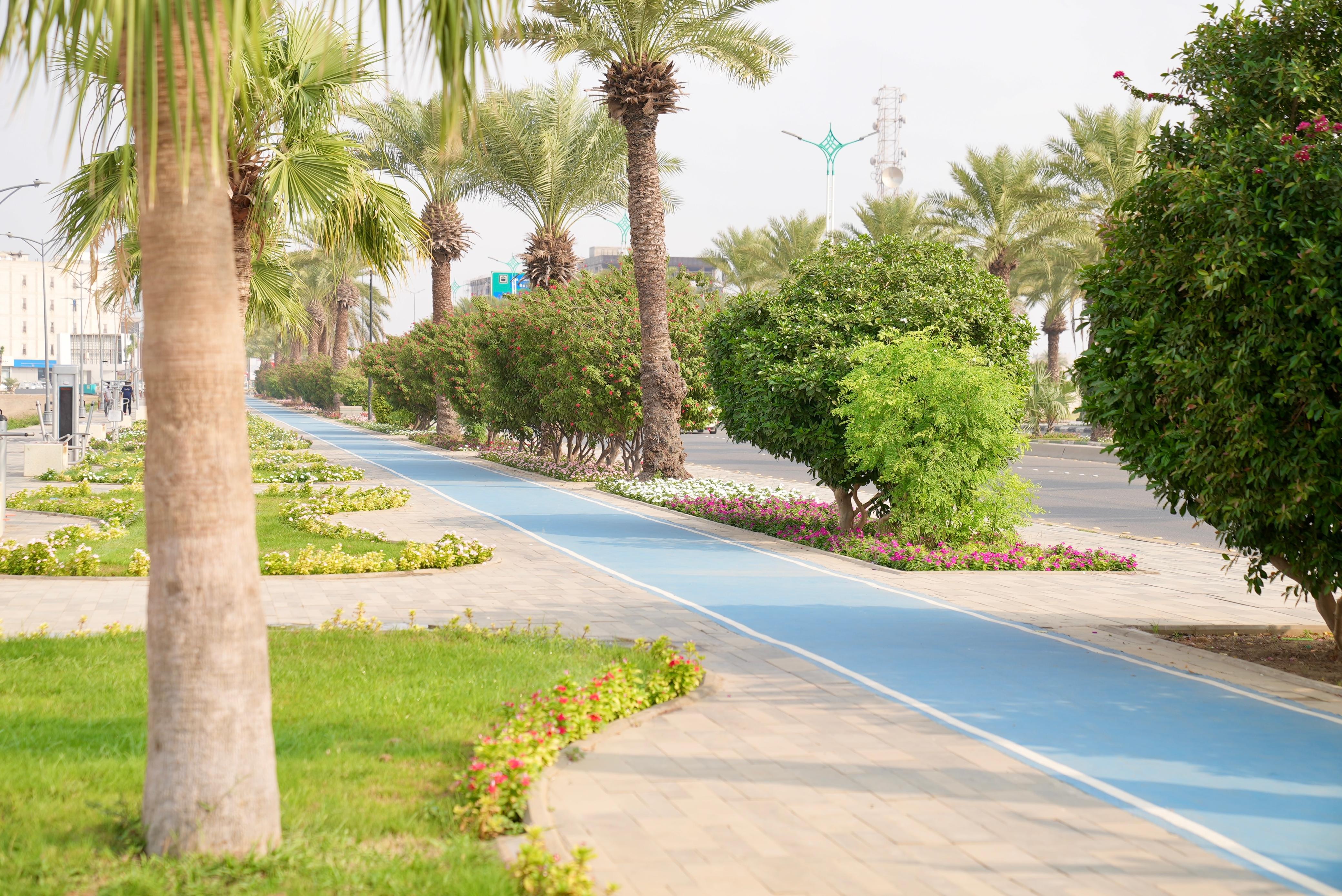 صورة مساحة الصور
